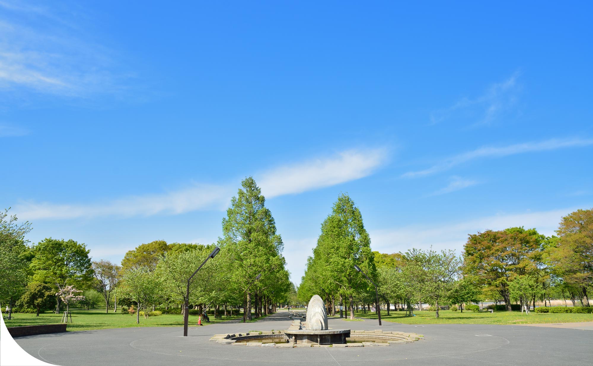 都立舎人公園写真